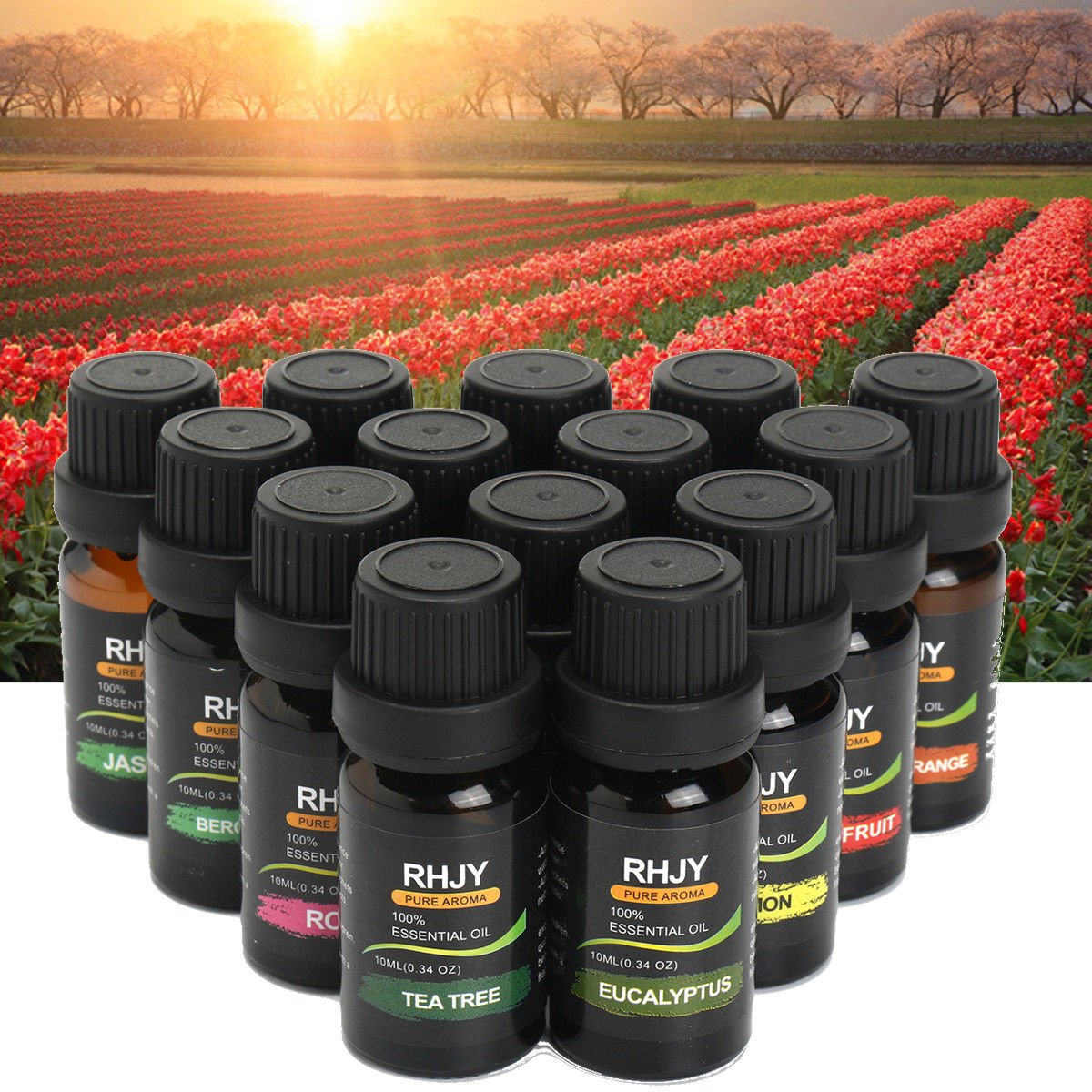 Coffret 14 Huiles Essentielles Aromathérapie - Relaxation & Bien - Être 10ml - Tout & Co