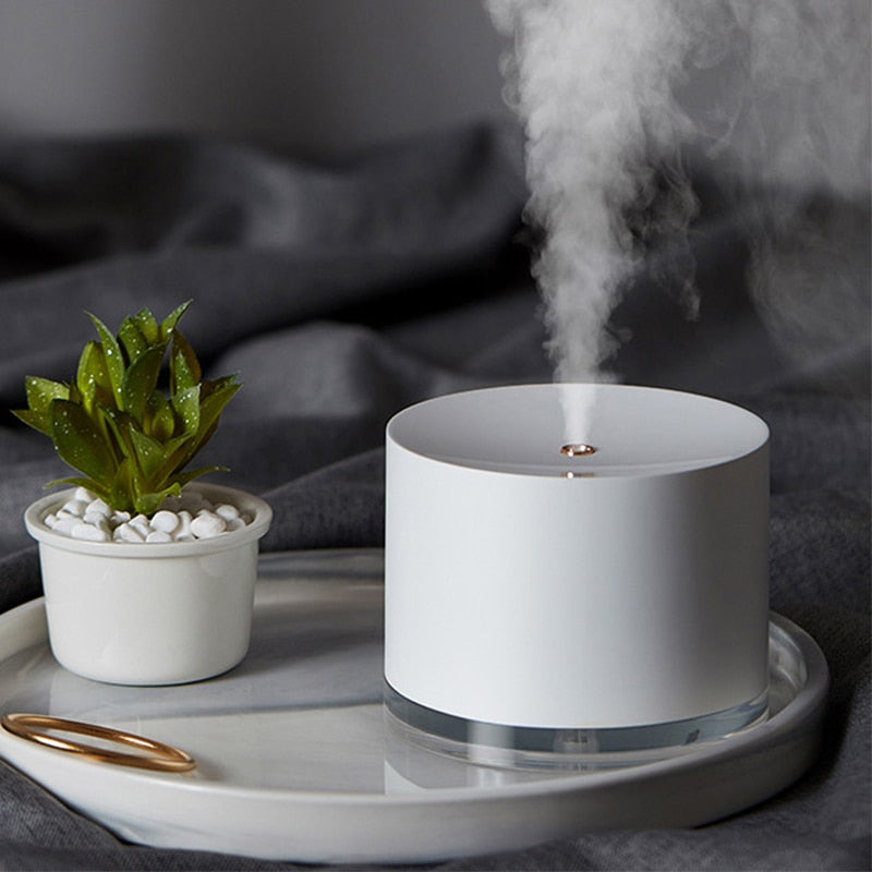 Diffuseur d'Air Portable pour la Maison